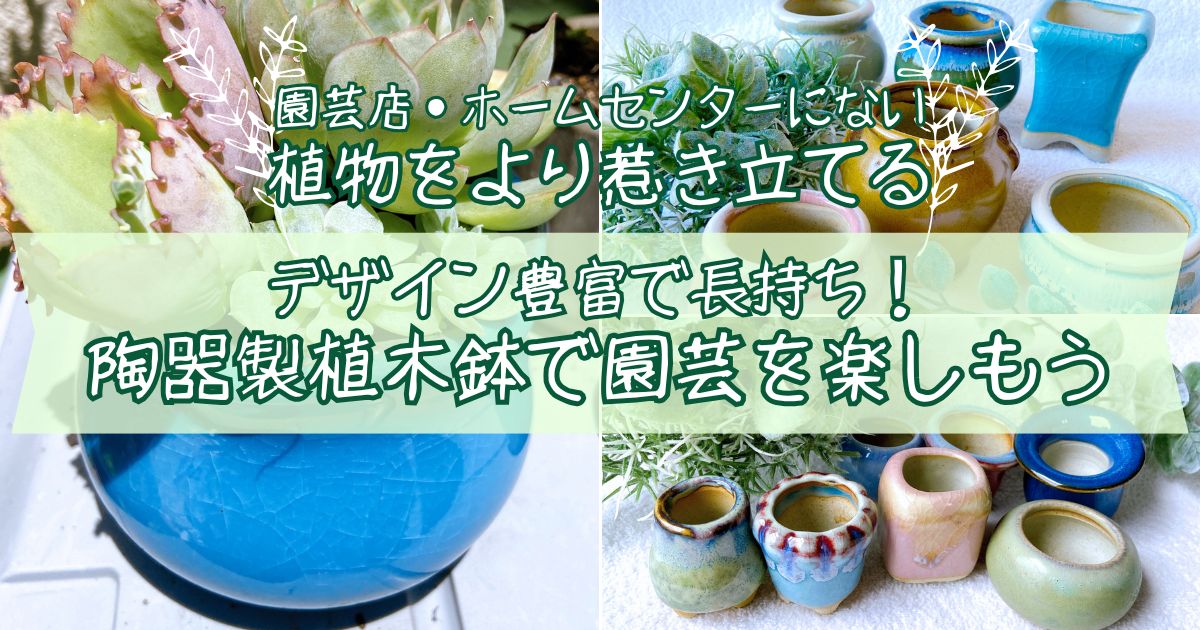 多肉植物・シダ植物・山野草をより惹き立てる　デザイン豊富で長持ち！陶器植木鉢で園芸や盆栽を楽しもう