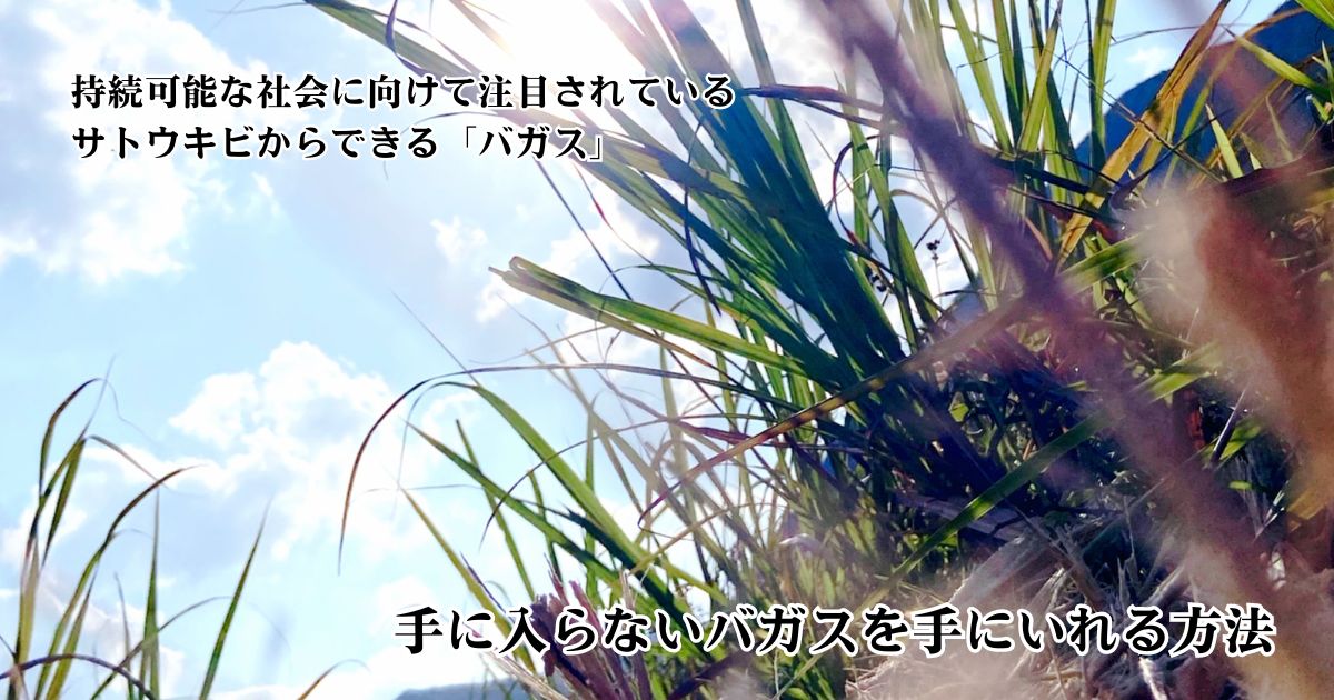 サトウキビのバガスがなぜ手に入りにくいのか？　SDGsで注目されているバガスが希少な理由