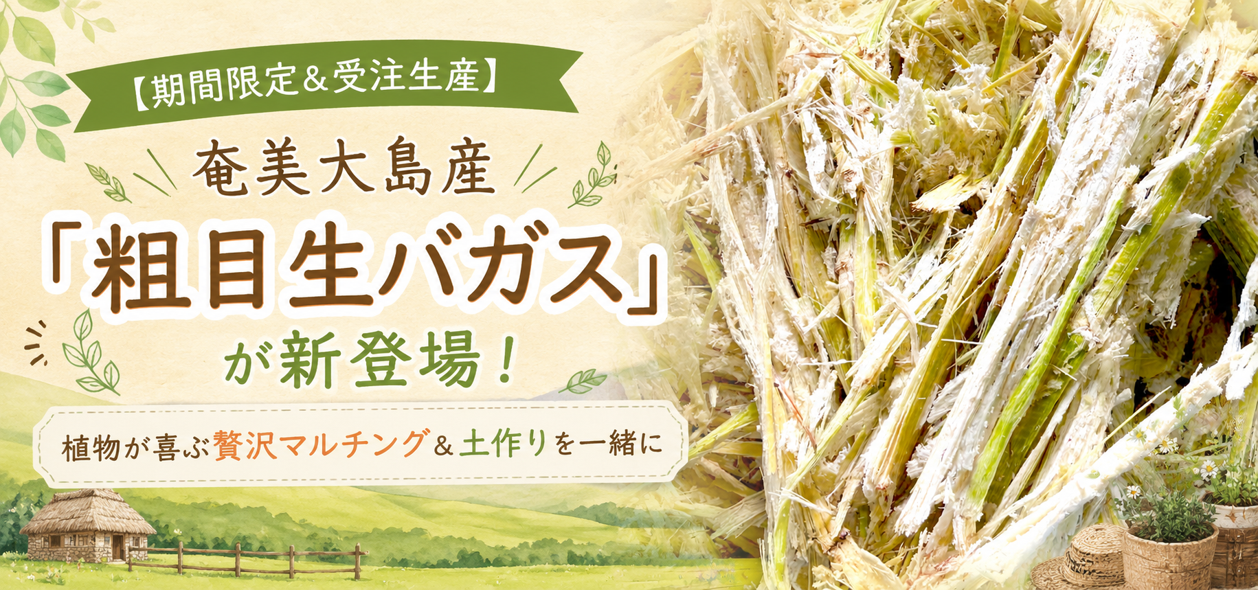 【期間限定&受注生産】奄美大島産「粗目生バガス」が新登場! 植物が喜ぶ贅沢マルチング&土作りを一緒に