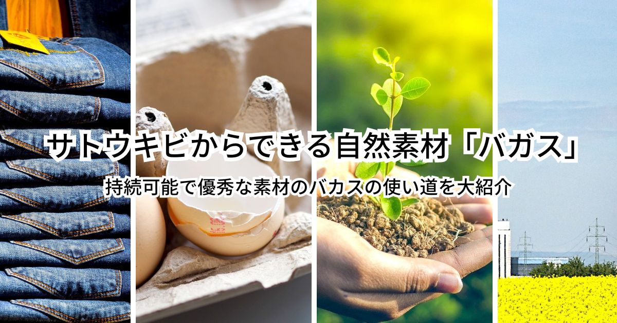 サトウキビからできる「バガス」！堆肥〜エネルギーまで、持続可能で優秀な素材のバカスの使い道を大紹介