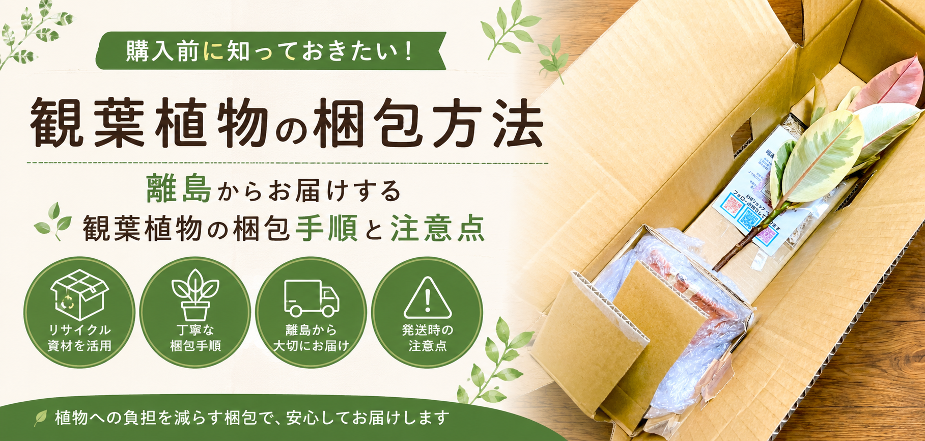 【観葉植物の梱包方法】購入前に知っておきたい！離島からお届けする観葉植物の梱包手順と注意点