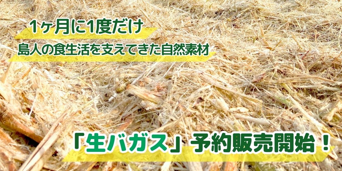 【1ヶ月に1度】家庭菜園や農業など土作りに最適！　自然栽培を支える奄美の宝「生バガス」予約販売開始！