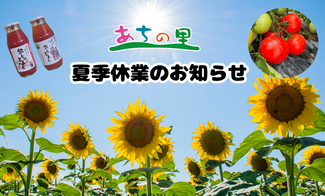 夏季休業のお知らせ