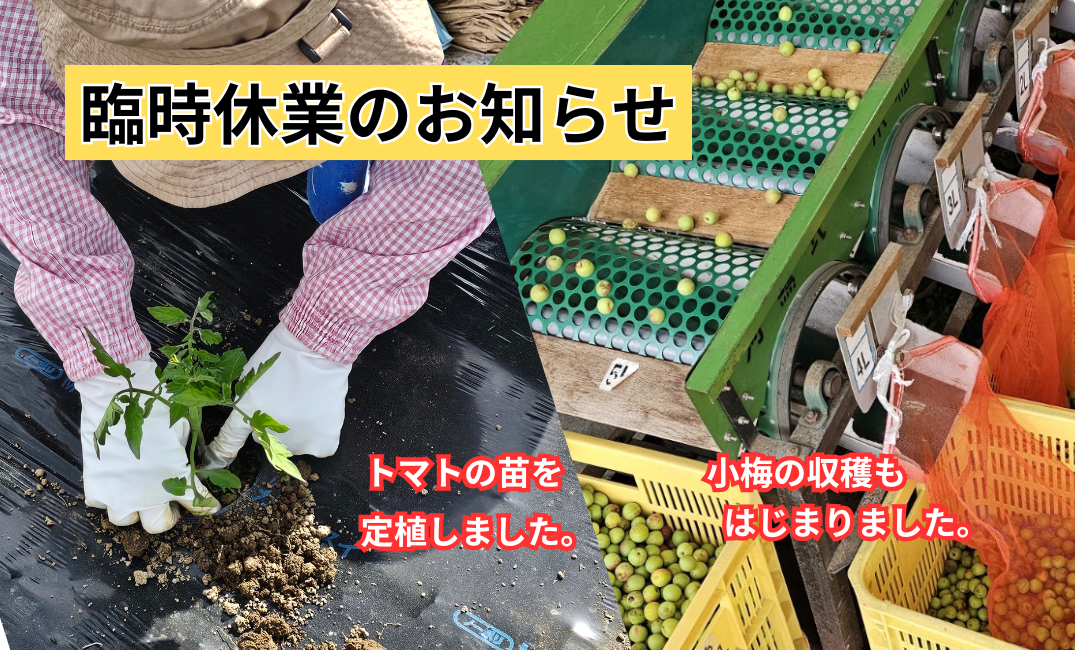 臨時休業のお知らせ