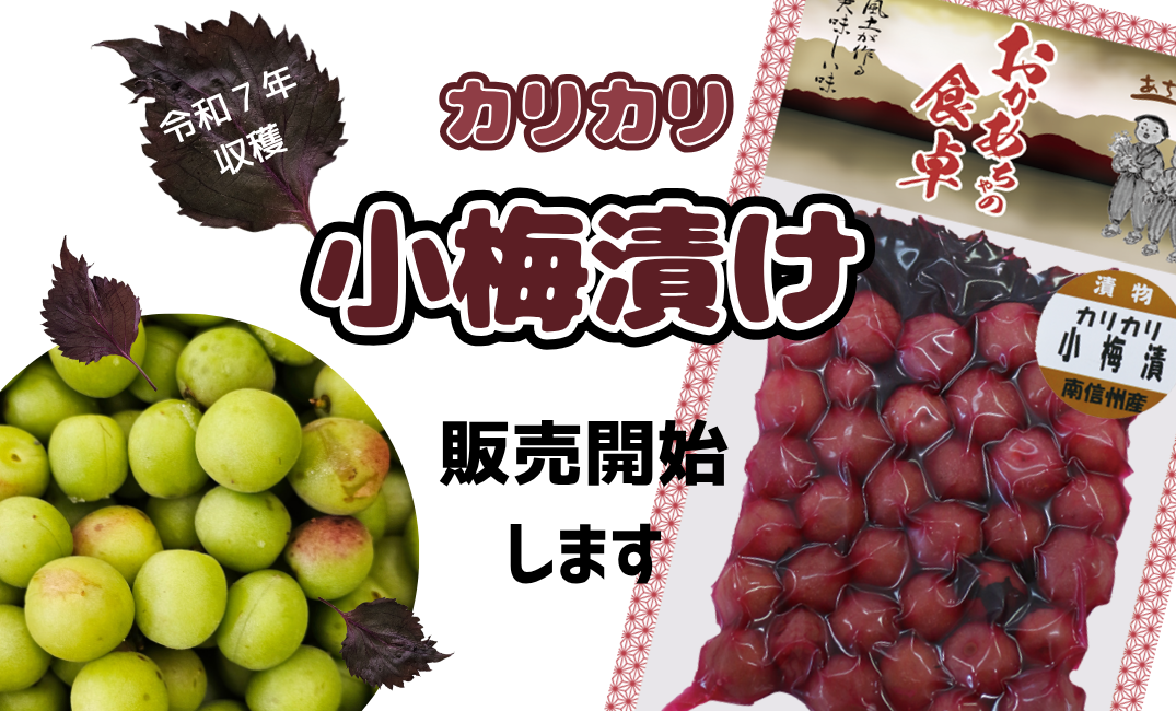 令和7年製造『カリカリ小梅漬け』販売開始！
