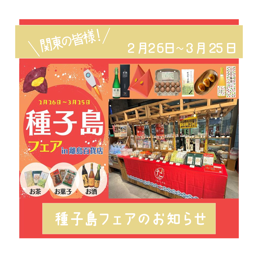 【ブログ】2024/03/04 種子島フェアのお知らせ