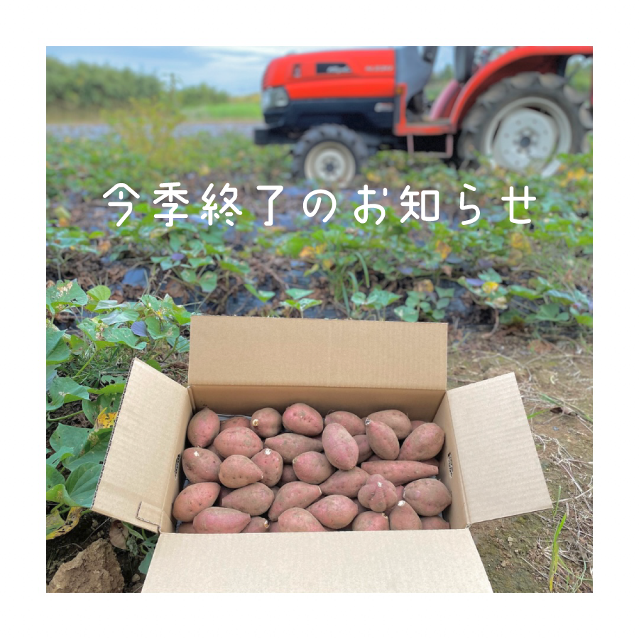 【ブログ】2024/01/29 今季の安納芋生芋のオンライン販売は終了しました！