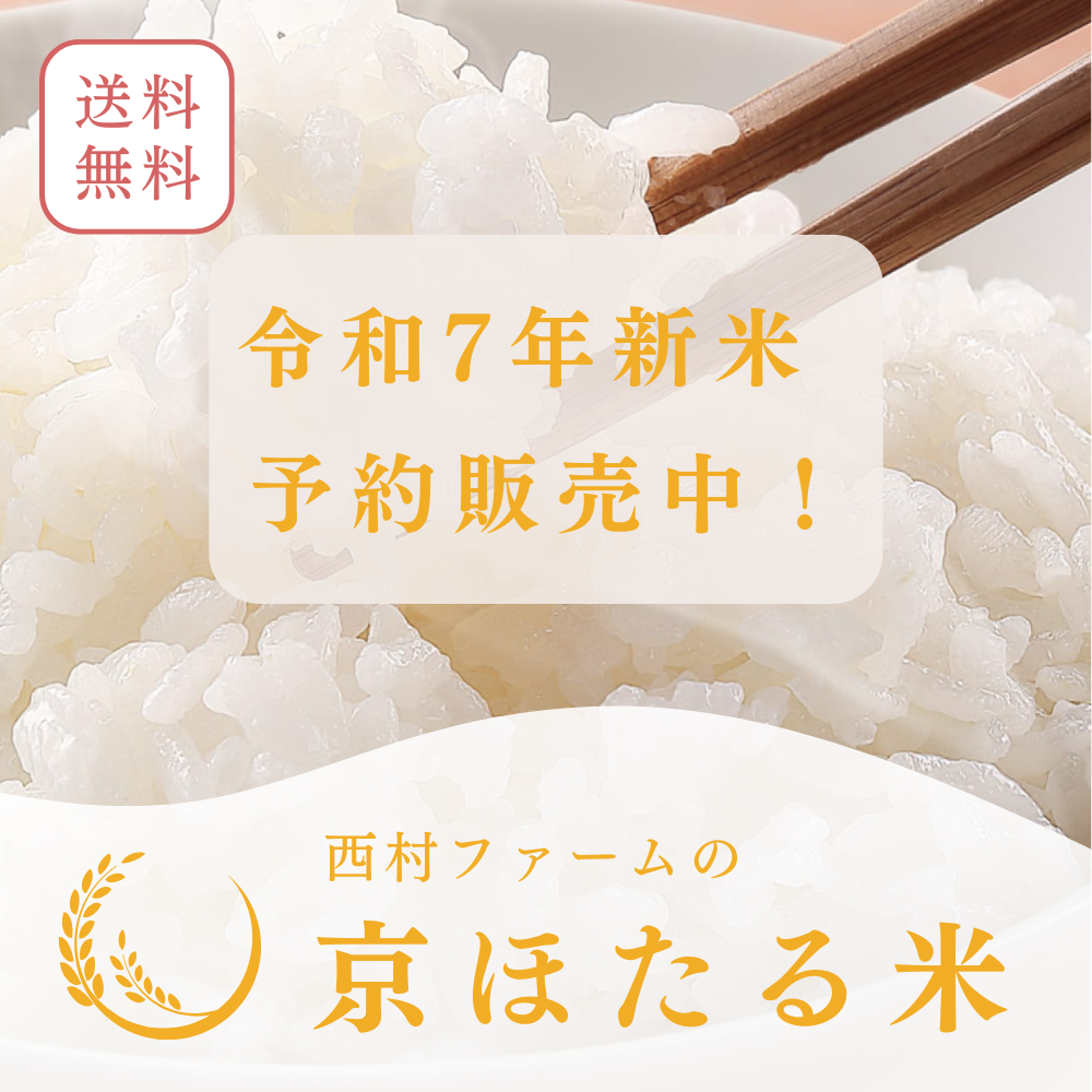 令和7年産 丹波産コシヒカリ 新米予約受付開始のお知らせ