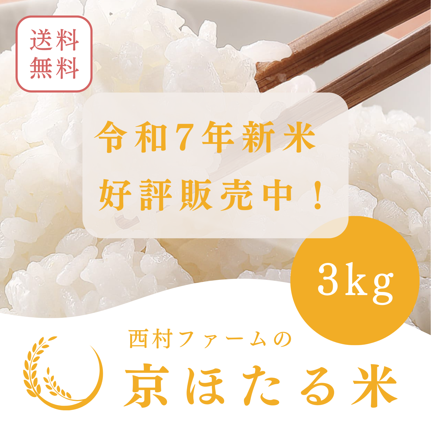 令和7年産 新米 丹波産コシヒカリ 発送を開始いたしました（2025年新米販売）