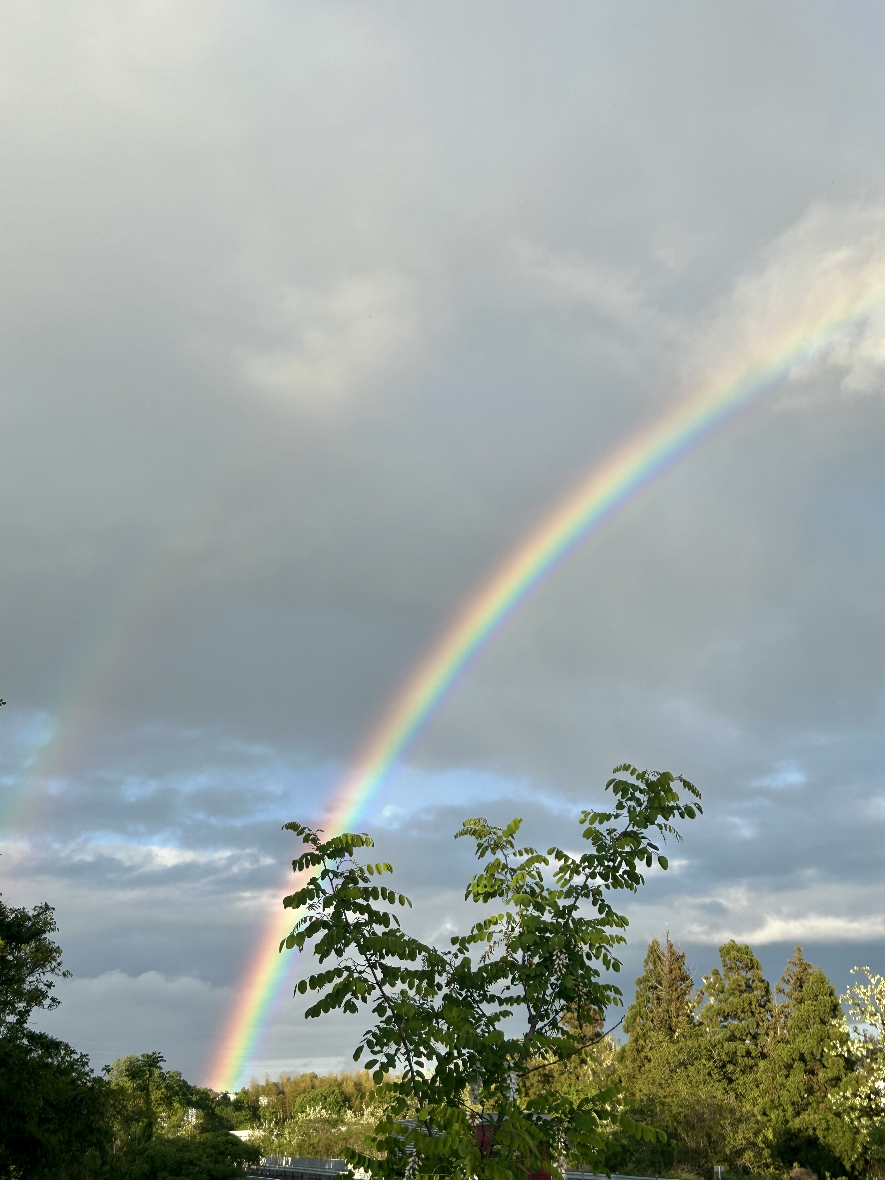 虹🌈🌈