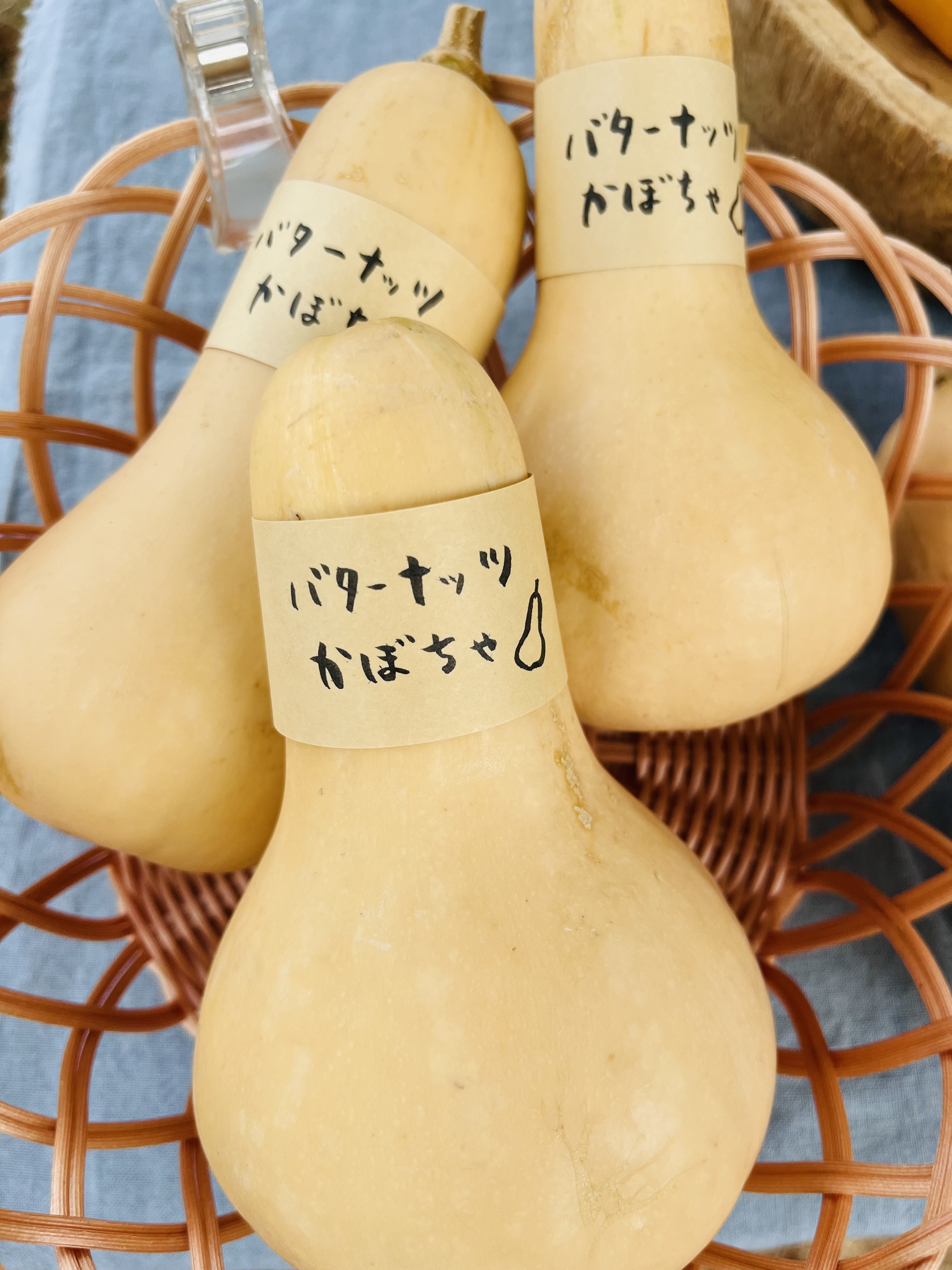 バターナッツビリティについて