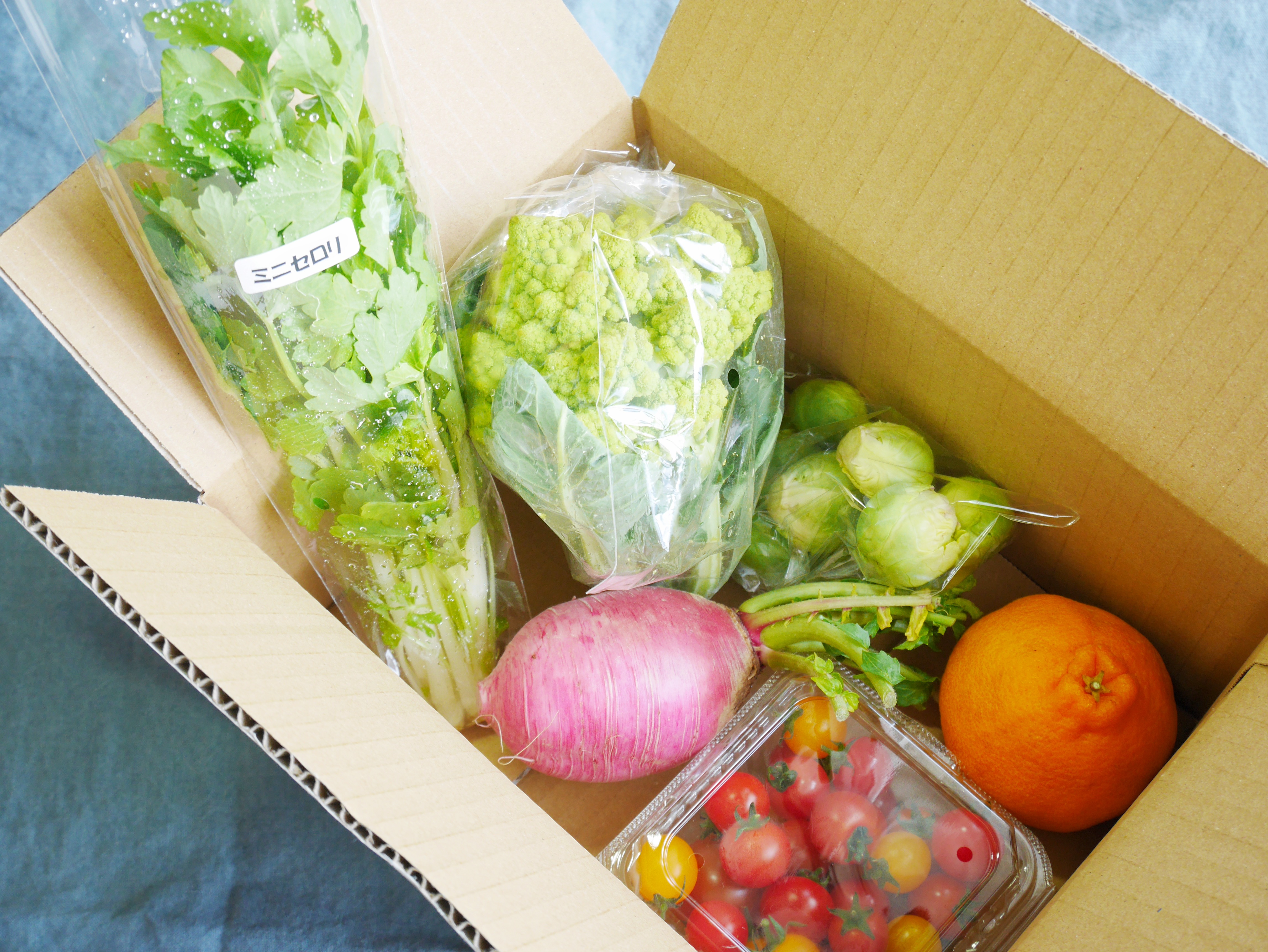 【災害支援】マレブルの「謎野菜福箱」で食べて農家さんを応援しませんか！？