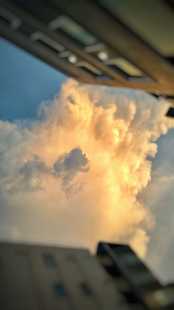 夕雲