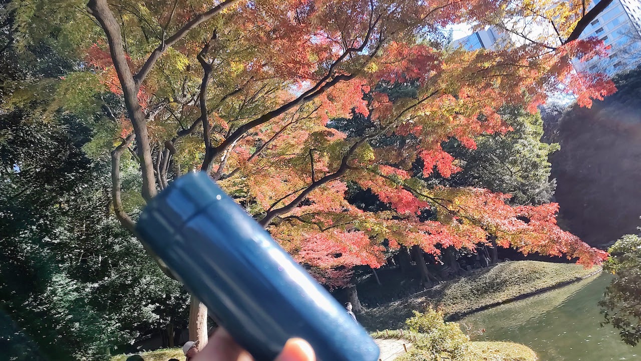 紅葉