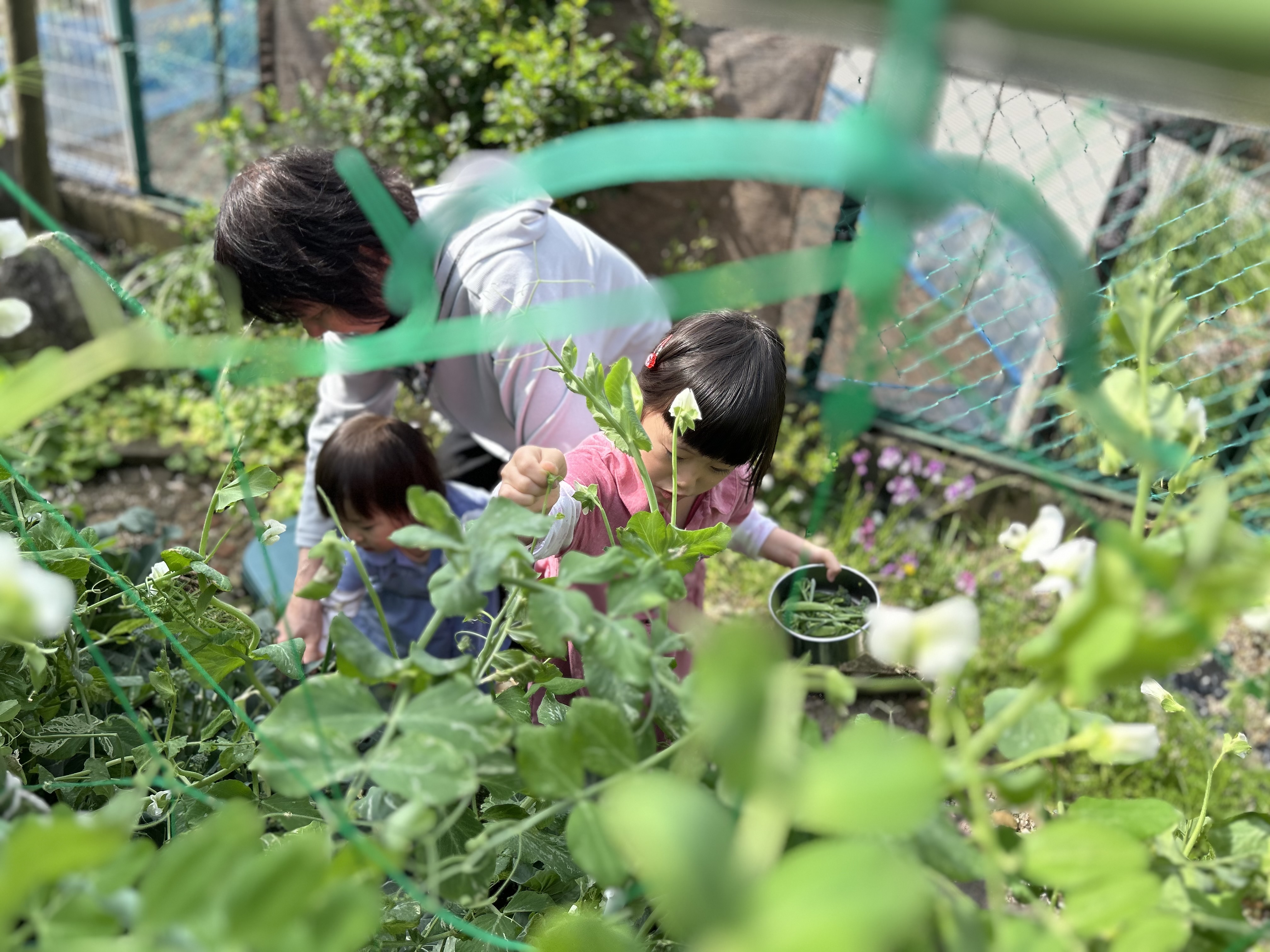 世界のちゅうしん