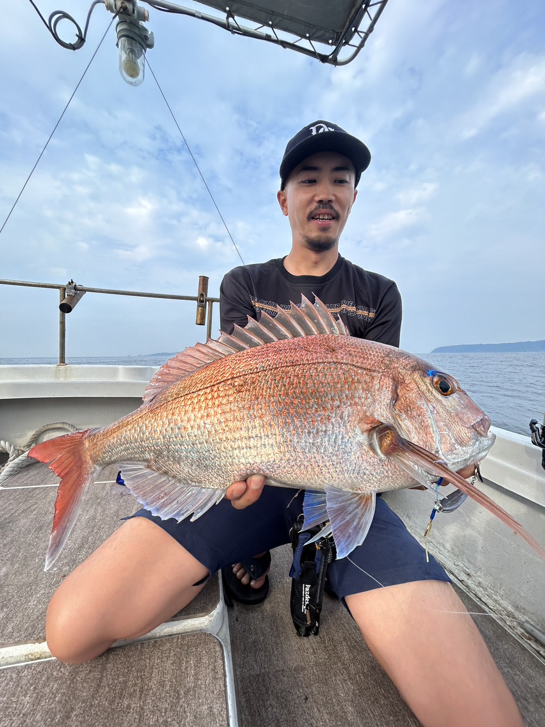 Edge Baitと鰯蓮華の使い分け