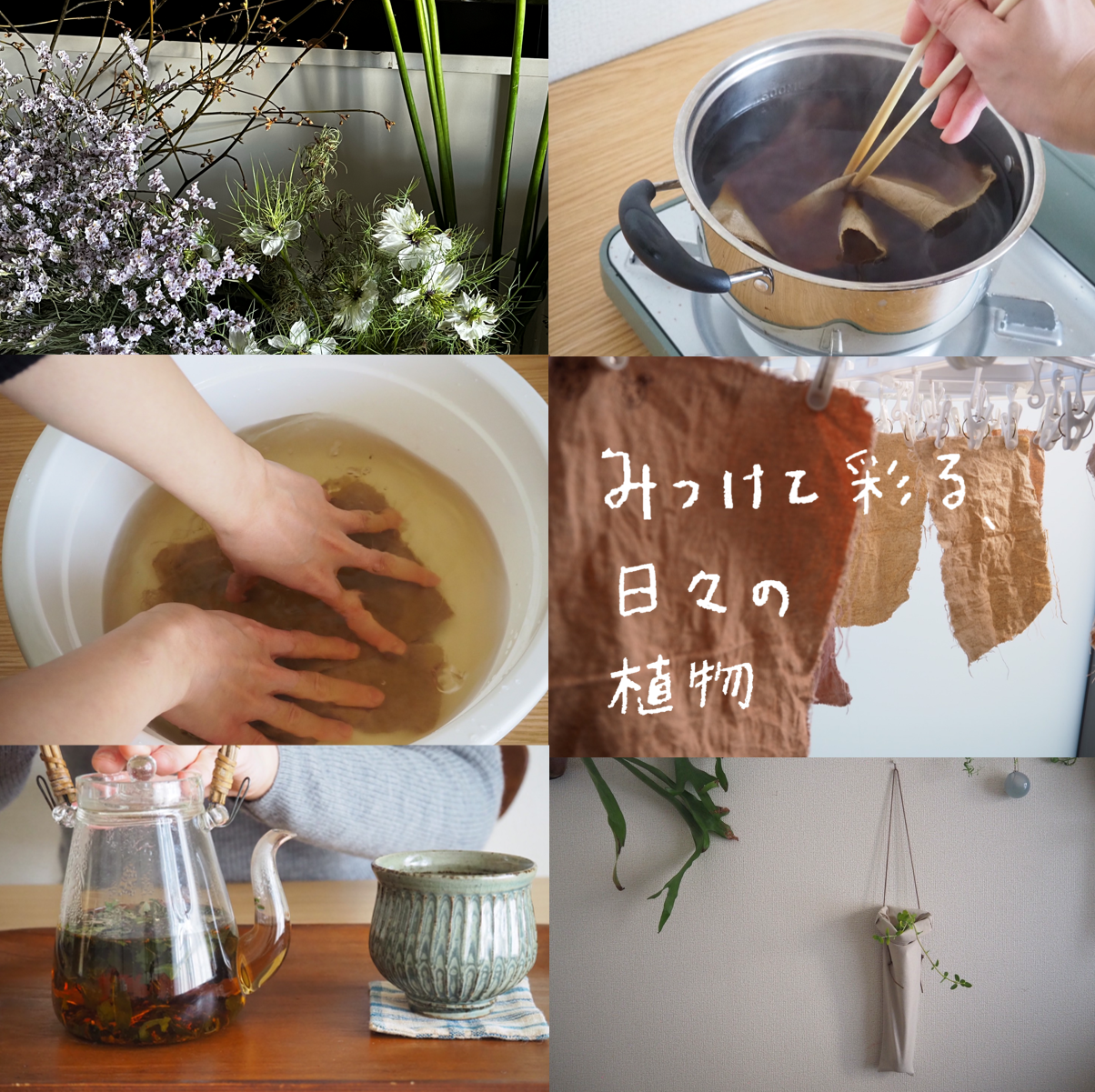 2月イベント出店のお知らせ