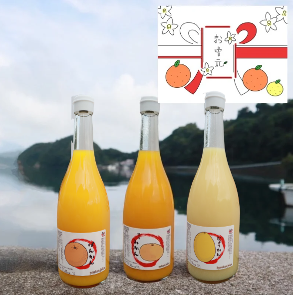 2025年　お中元　販売開始！！