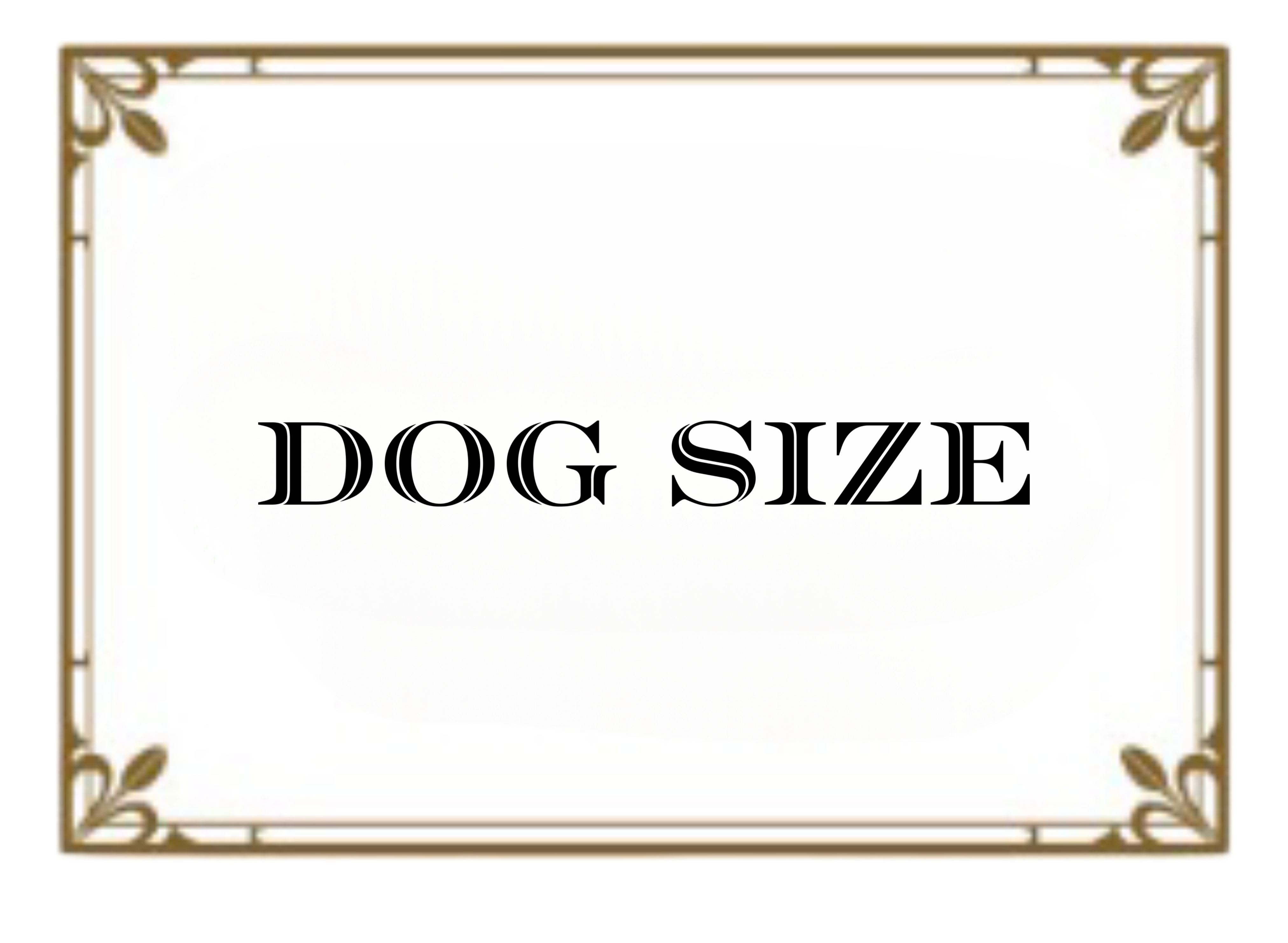 モデル犬のサイズ