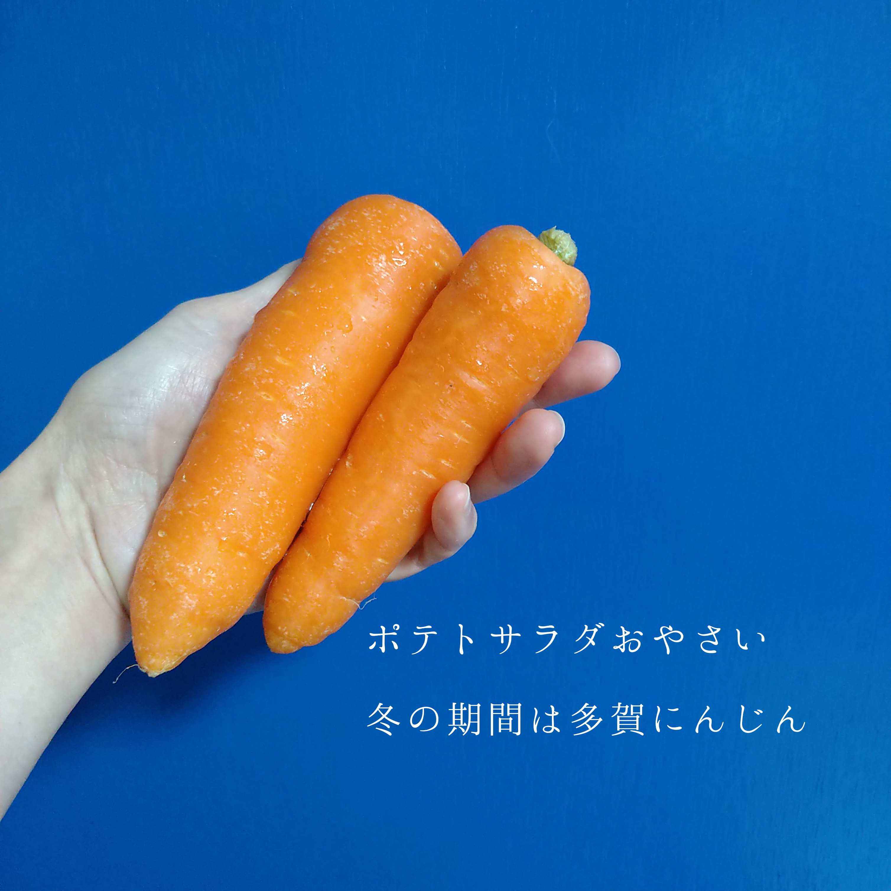 本日アップ日です。冬土用期間ですね