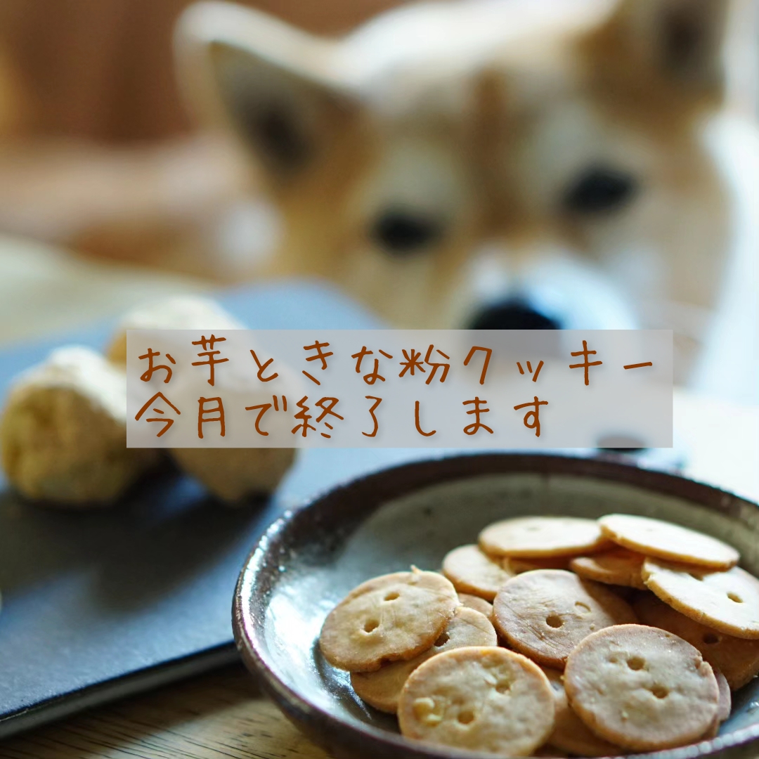 お芋ときな粉クッキー最終