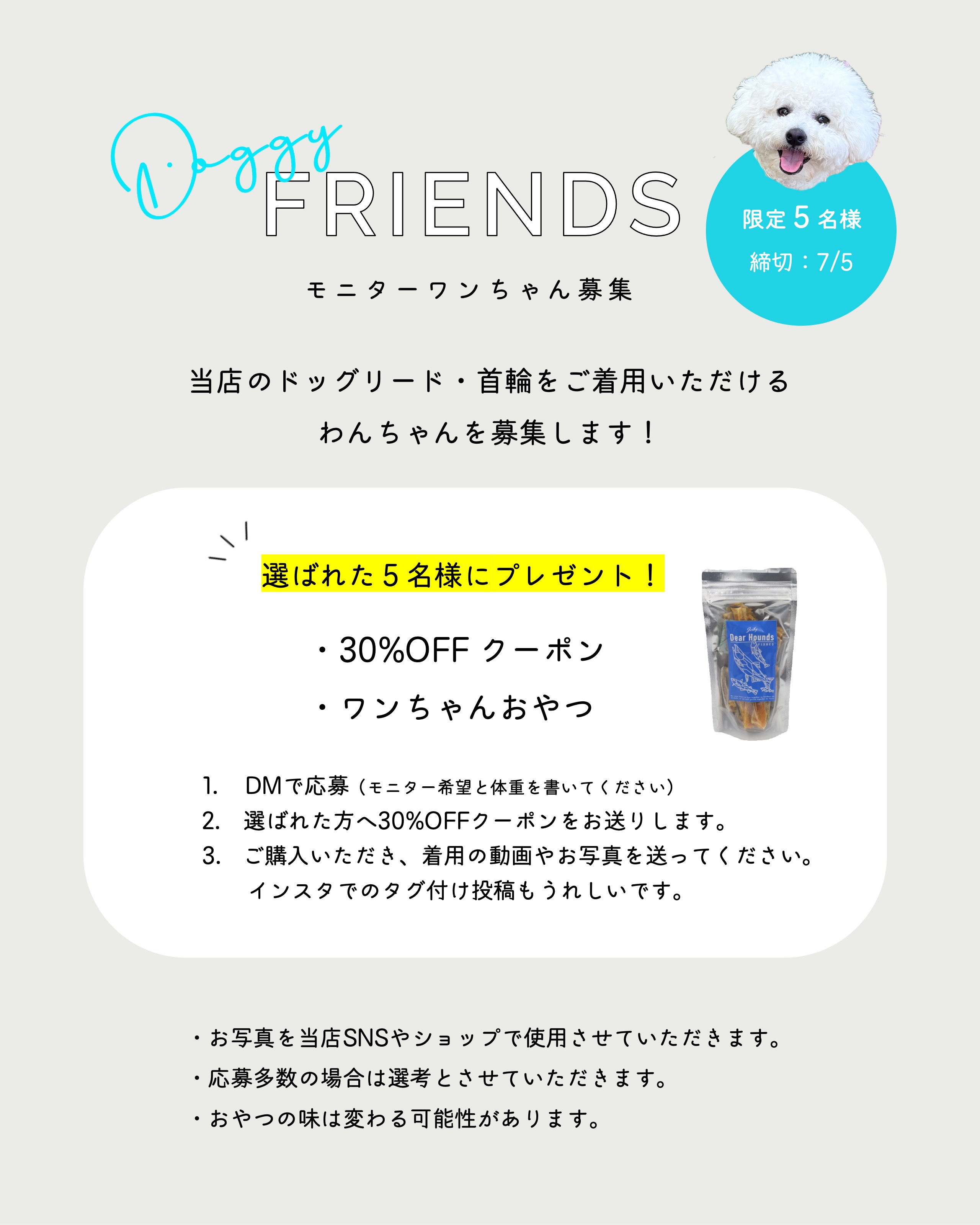 【終了しました】DOGGY FRIENDS 募集中！たくさんのご応募ありがとうございました