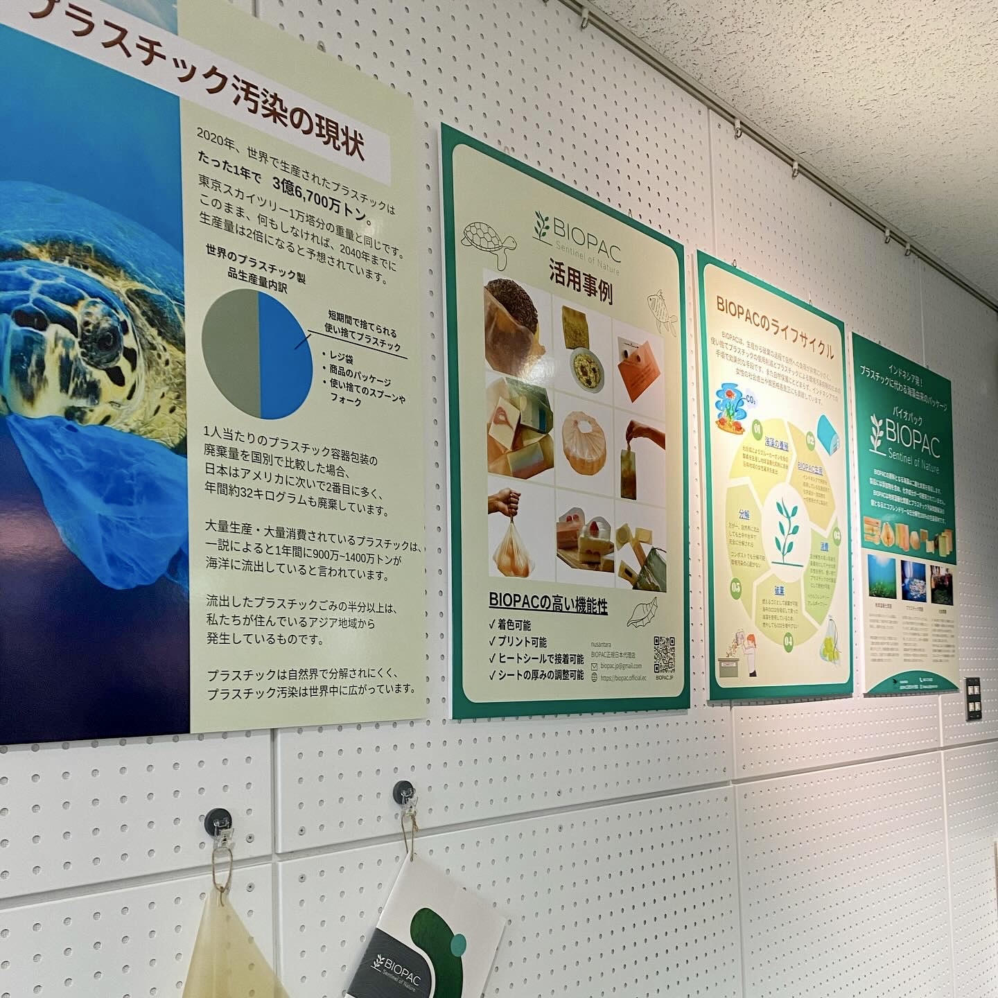 【お知らせ】藤沢市役所にてBIOPACのパネル展示がスタートしました！