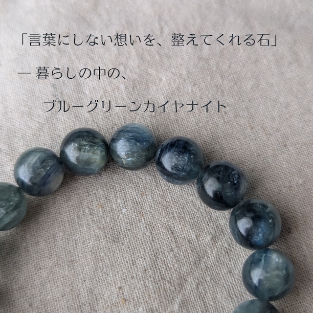 🪶 ふくろう便り