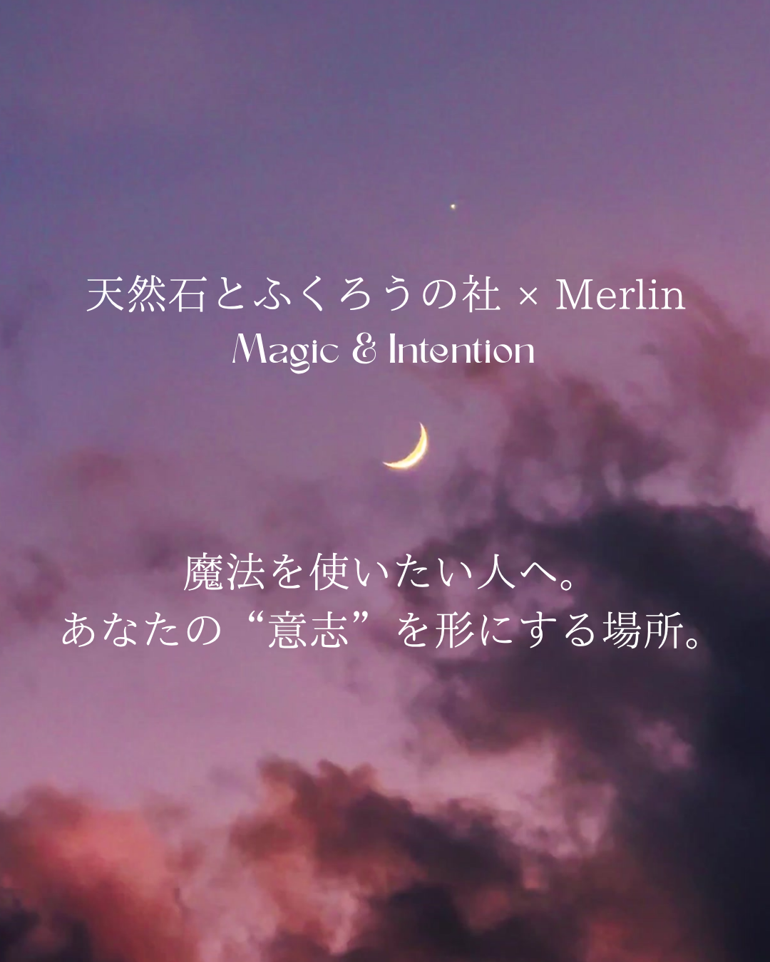 新しいコーナーできました!