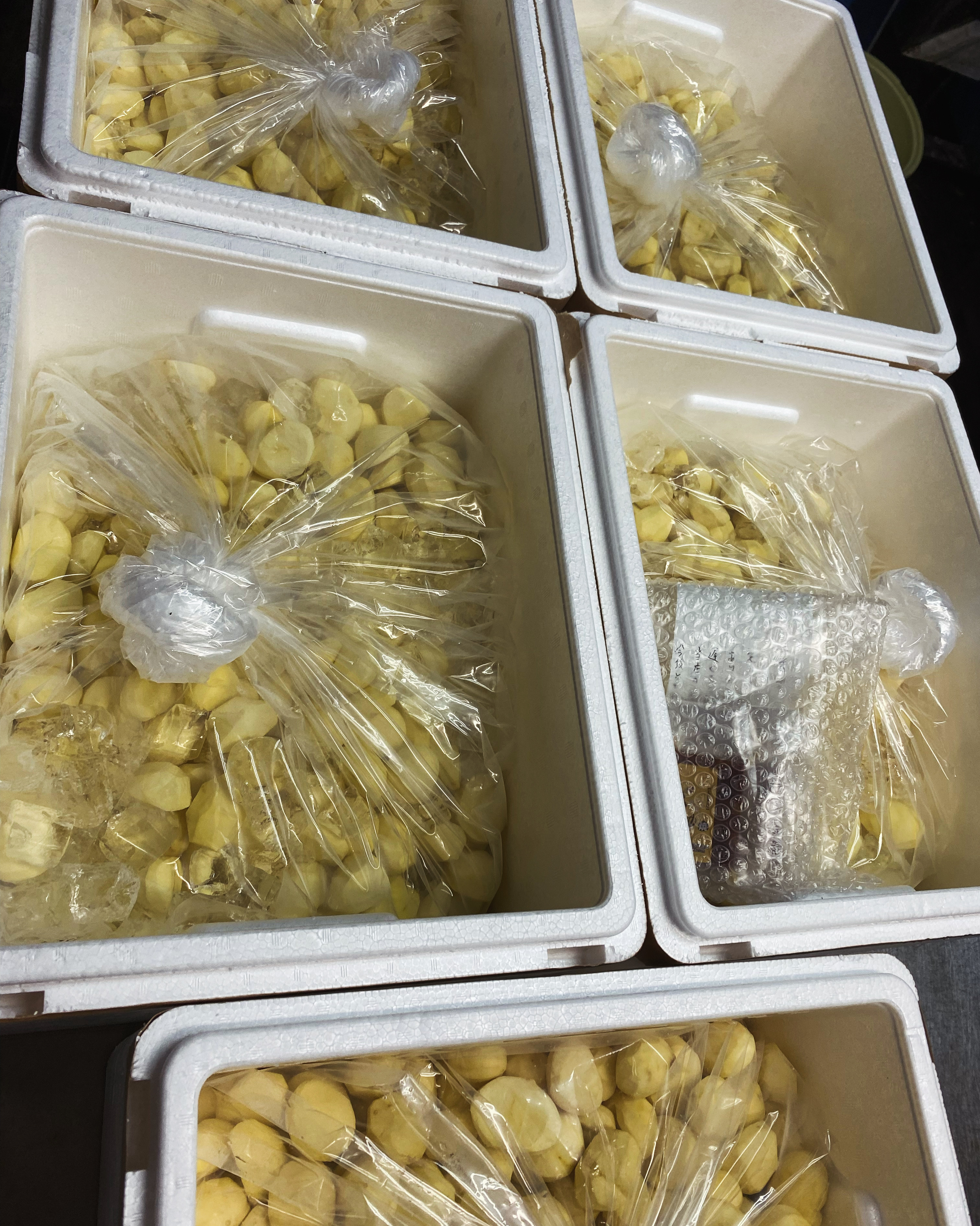 【笠間の栗40kg入荷】新栗の収穫の誇り僅か！