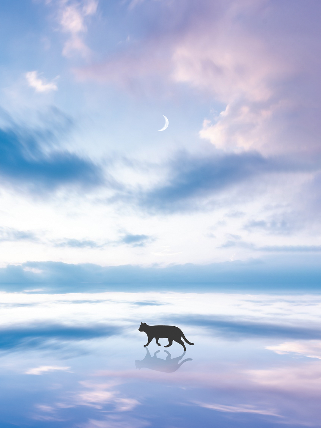 境界線が溶ける刻