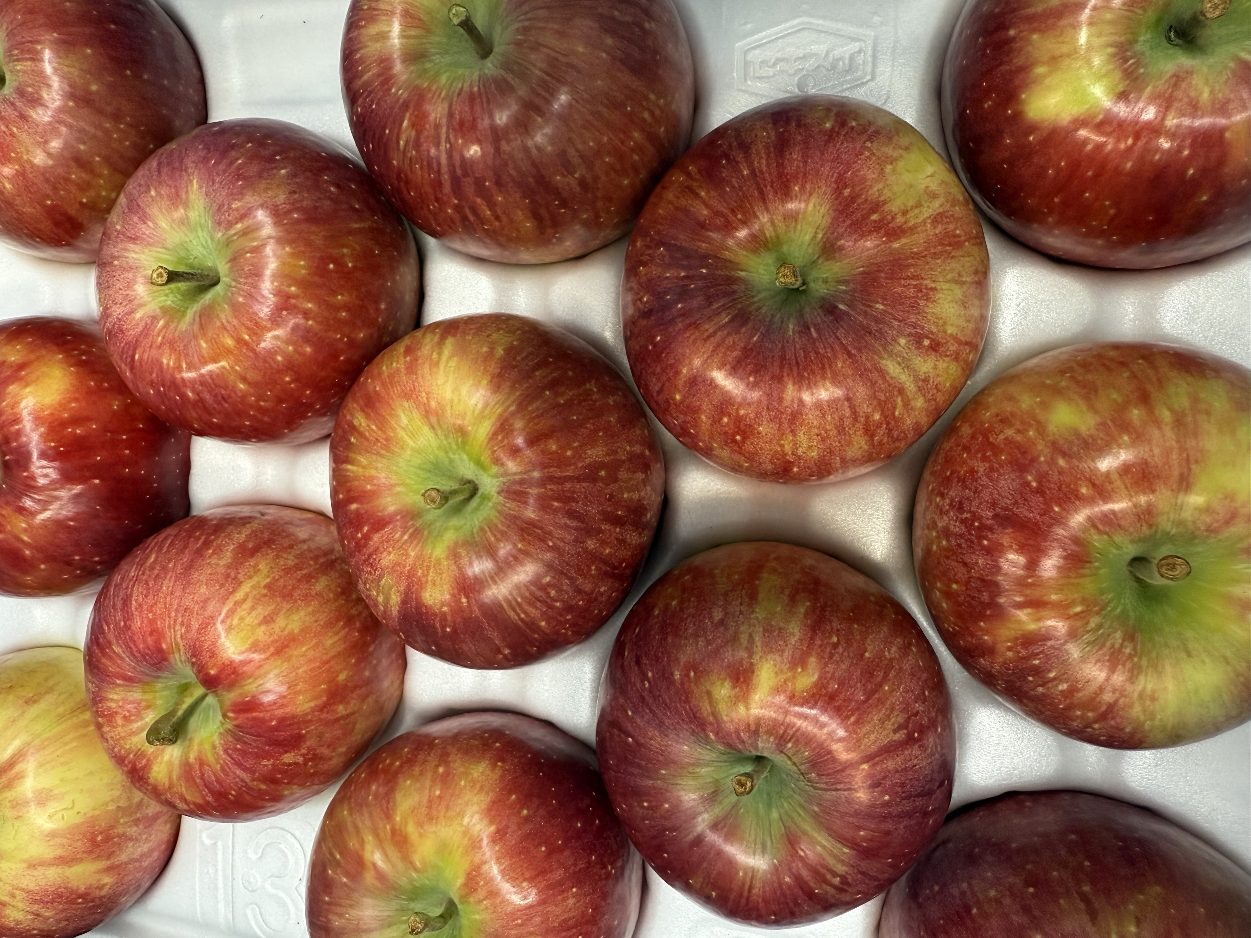 シナノリップ絶賛販売中!!