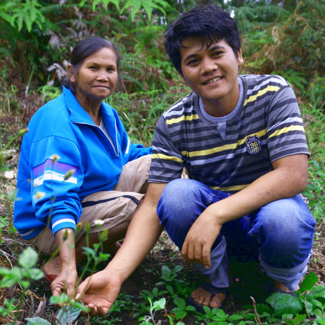 インドネシア マンデリン ポルン アルフィナー