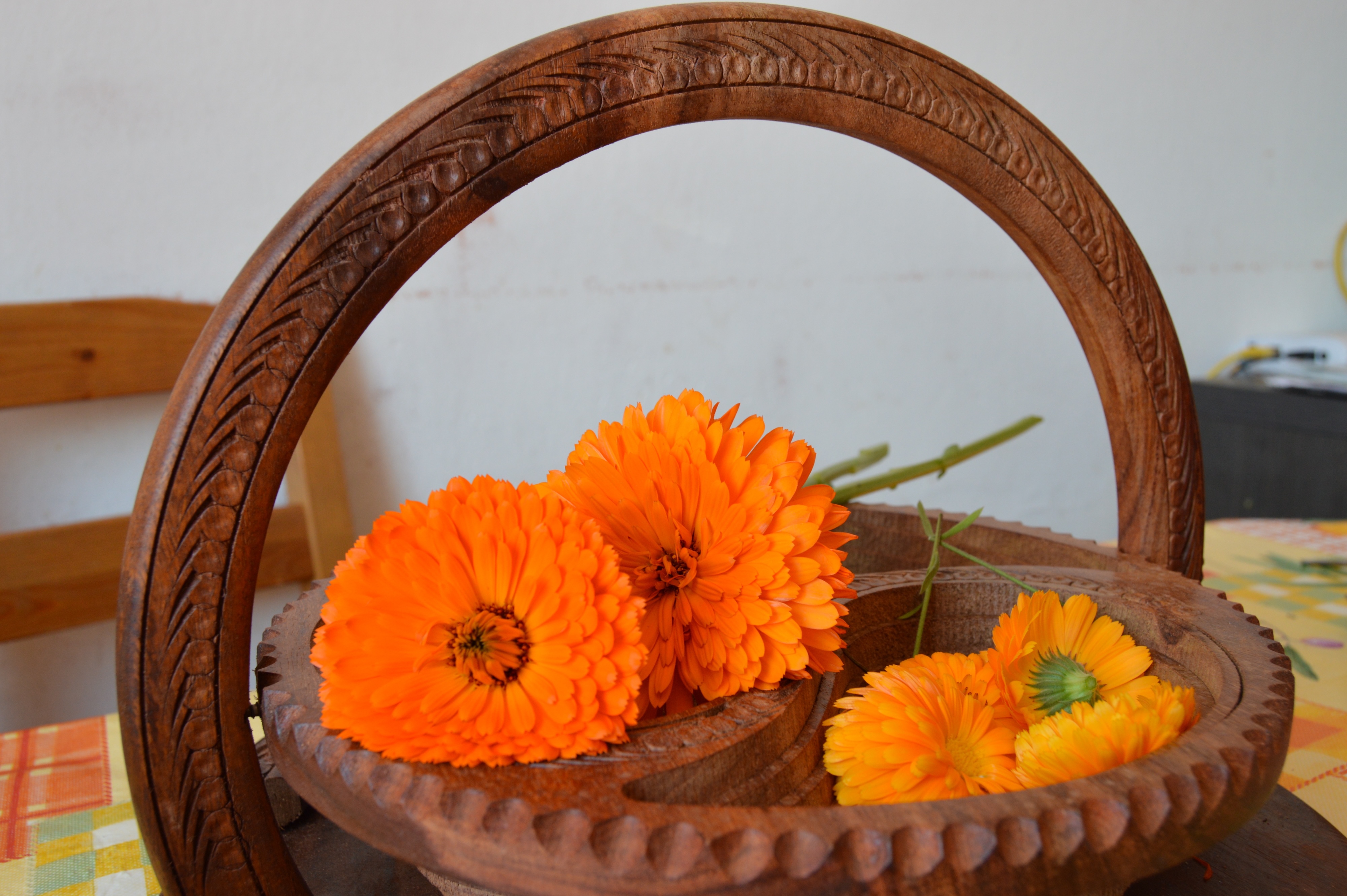 キンセンカの魅力：寒い冬を彩る金色とオレンジの小さな太陽