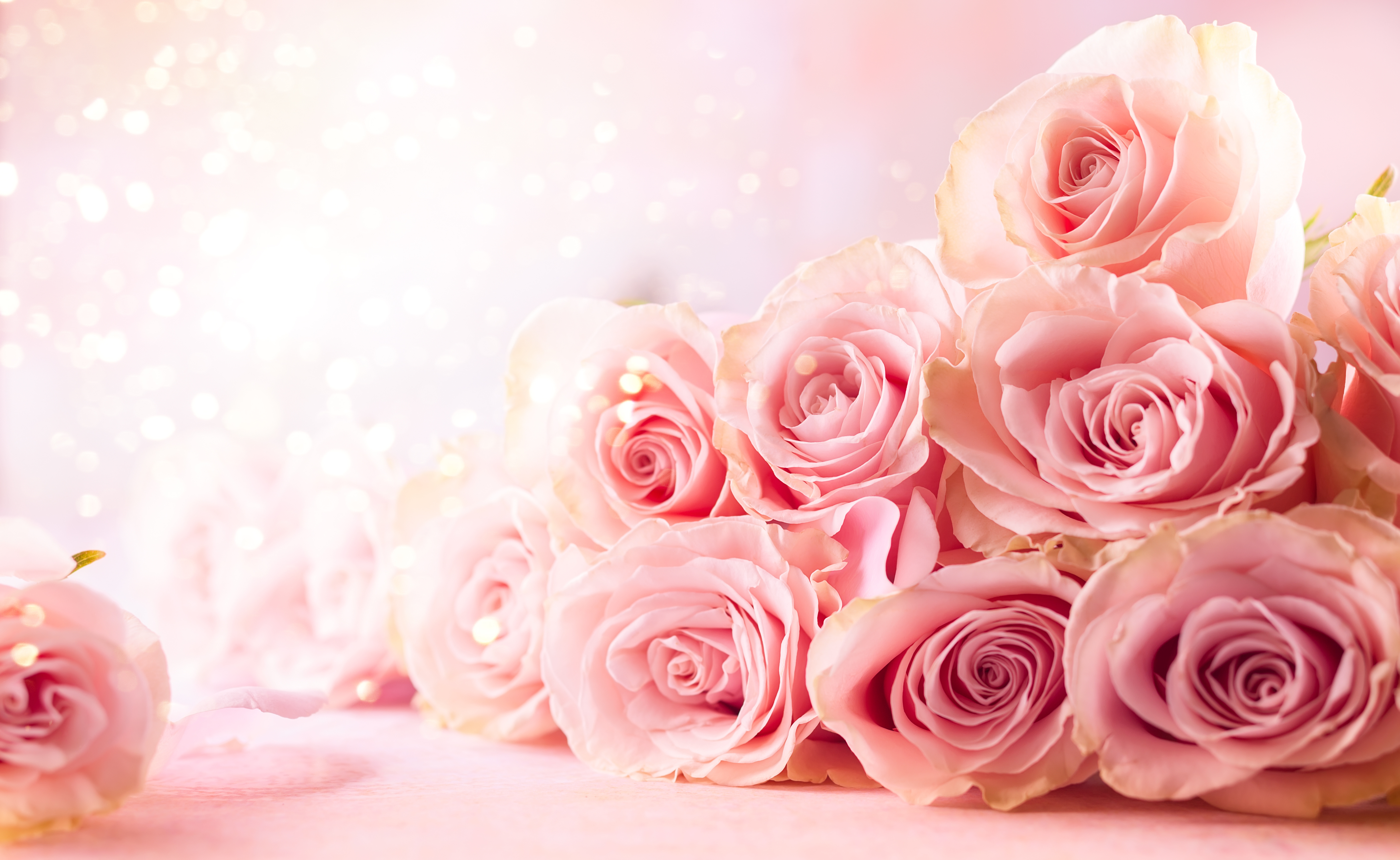 バラの魅力：永遠の美と香りの芳麗