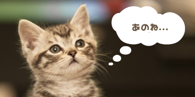 「猫さんとの暮らしを楽しむための秘訣と具体的な方法①」…身体言語の理解しよう