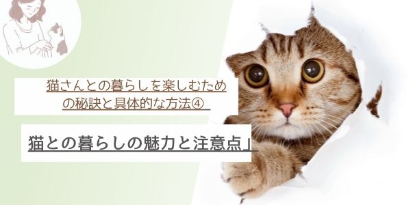 猫さんとの暮らしを楽しむための秘訣と具体的な方法④ 猫との暮らしの魅力と注意点」