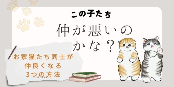 お家猫たち同士仲良くなる3つの方法🎷🎶
