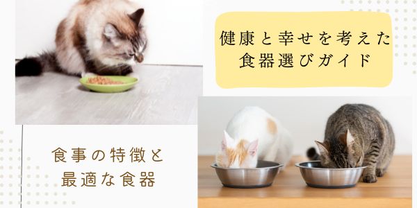 愛猫のための食器選び：猫の食事の特徴と最適な食器の選び方