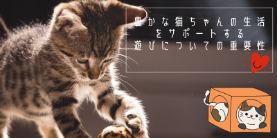 猫さんとの暮らしを楽しむための秘訣と具体的な方法③ …遊びの重要性