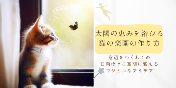 太陽の恵みを浴びる猫の楽園：窓辺をわくわくの日向ぼっこ空間に変えるマジカルなアイデア②