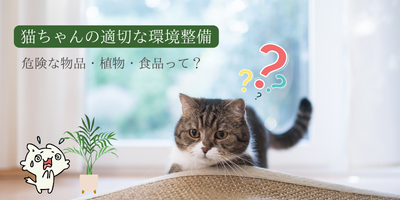 「猫さんとの暮らしを楽しむための秘訣と具体的な方法②」…安全性確保。危険な物品・植物・食品の具体例
