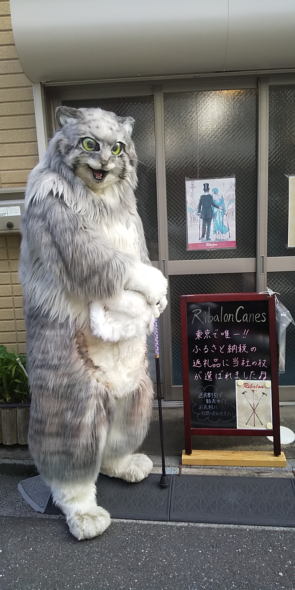 雷流さんご来店⤴️