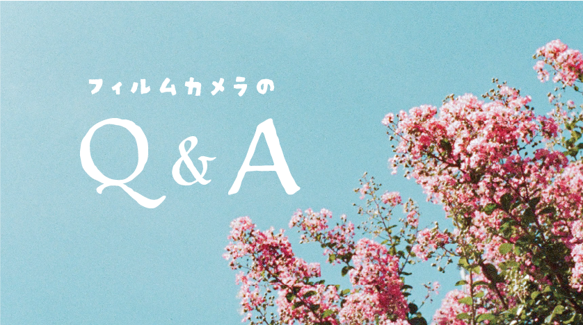 【Q &A】コーナー！よく聞かれる質問に答えます！！