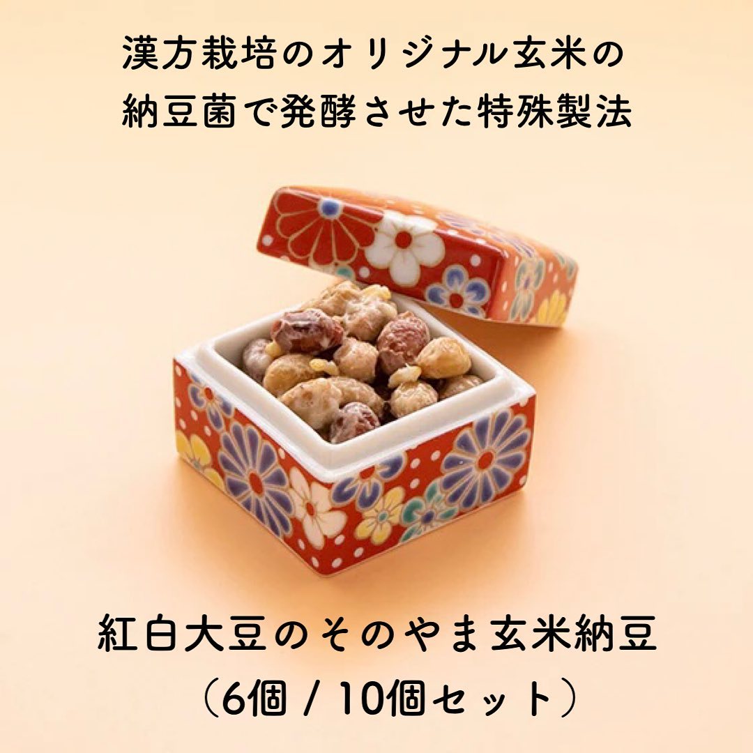 【 人気商品 】 紅白大豆のそのやま玄米納豆（6個／10個セット）