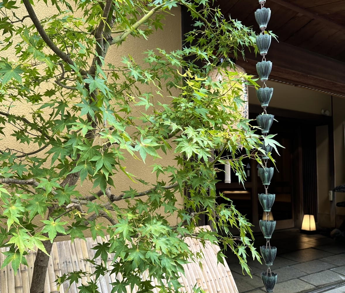 Hello, I’m Hishin the Japanese Calligrapher🙋🏻‍♀️🖌️