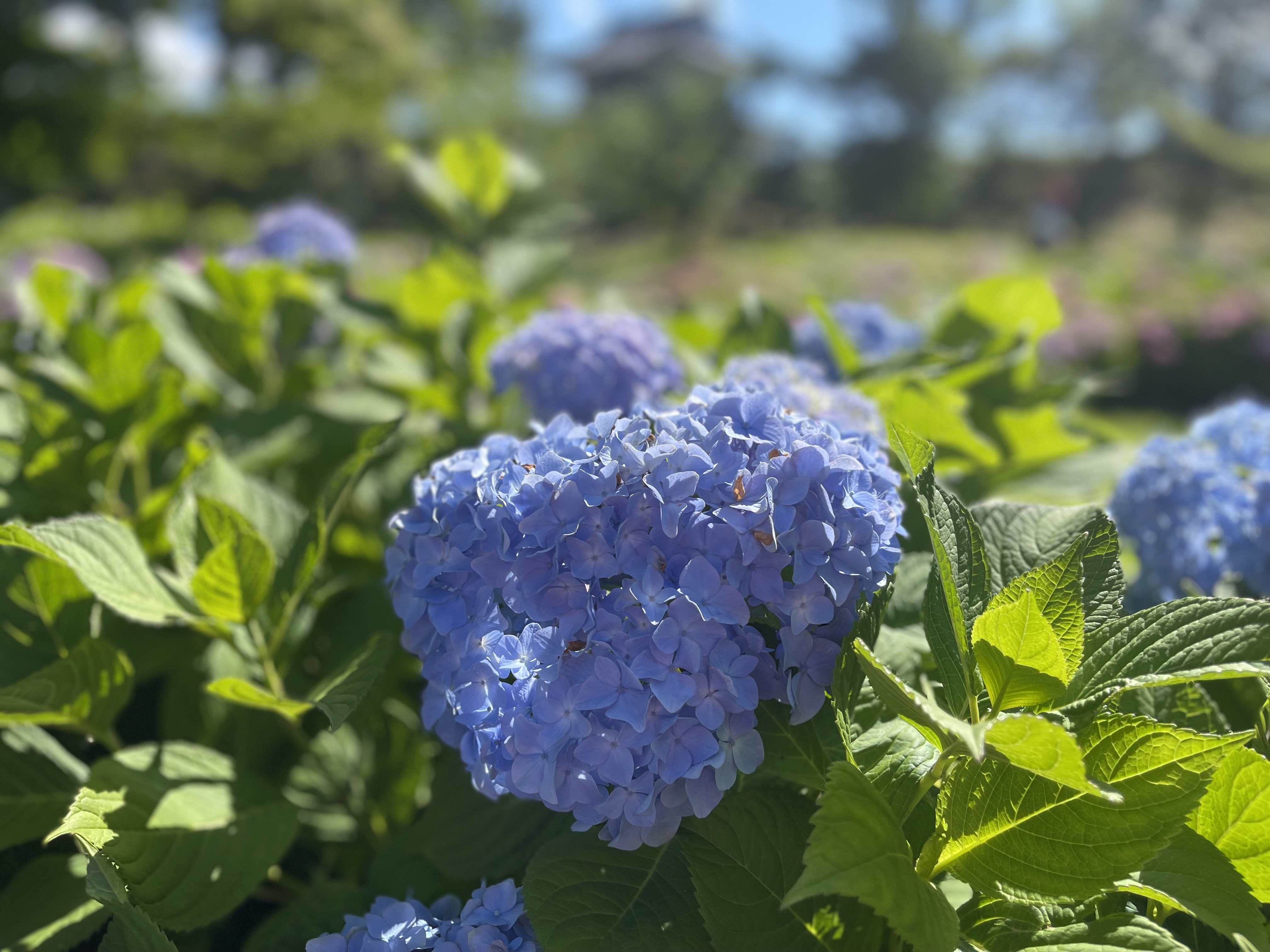AI に聞いてみました