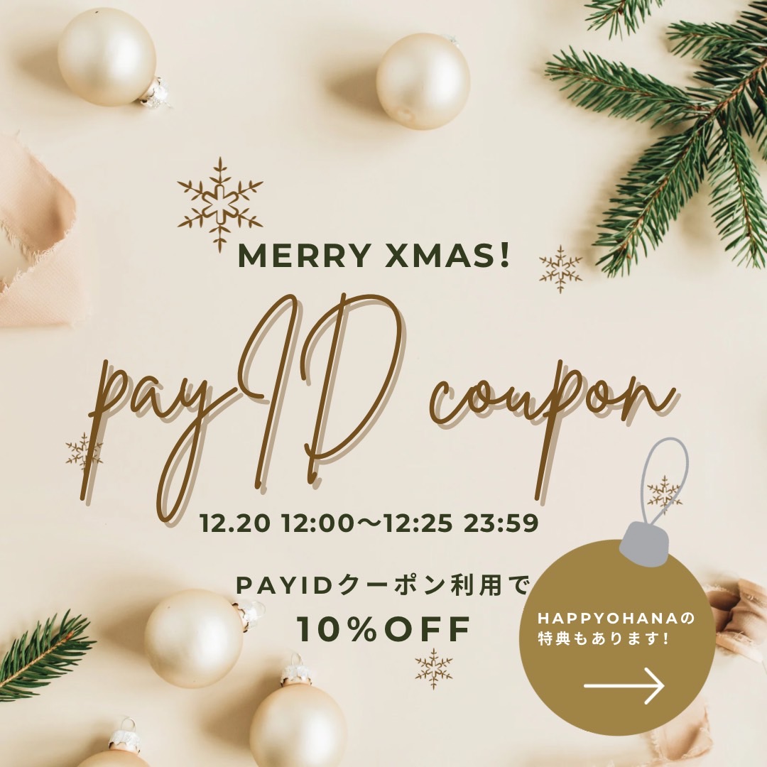 PayID X'masキャンペーン