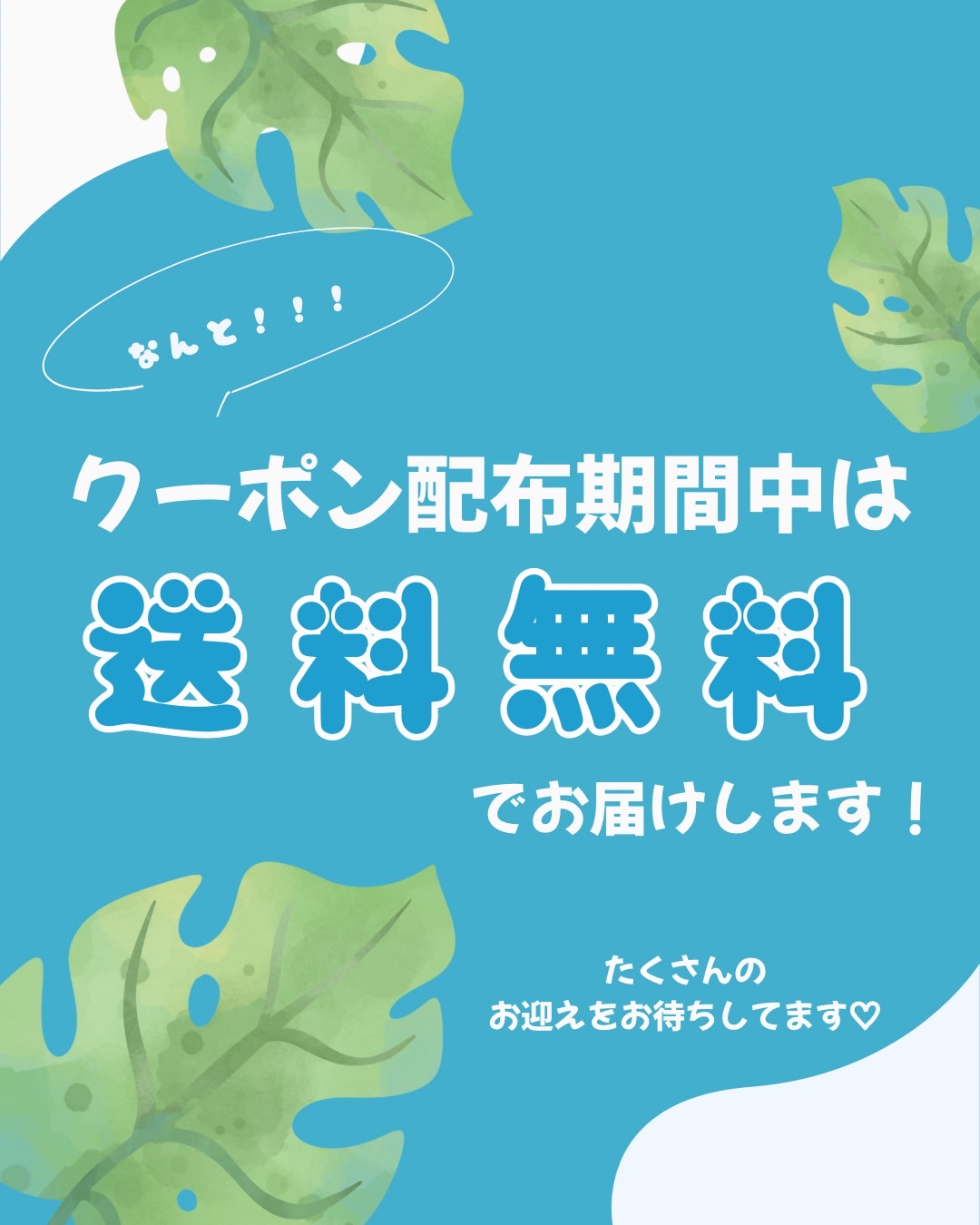 23日～Start Follow割15%OFF