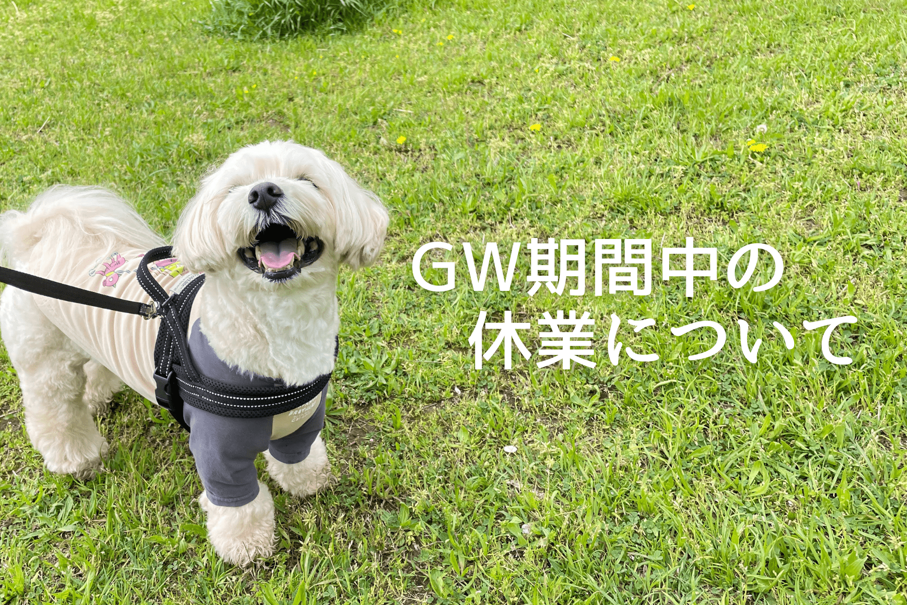 ＧＷ期間中の休業について